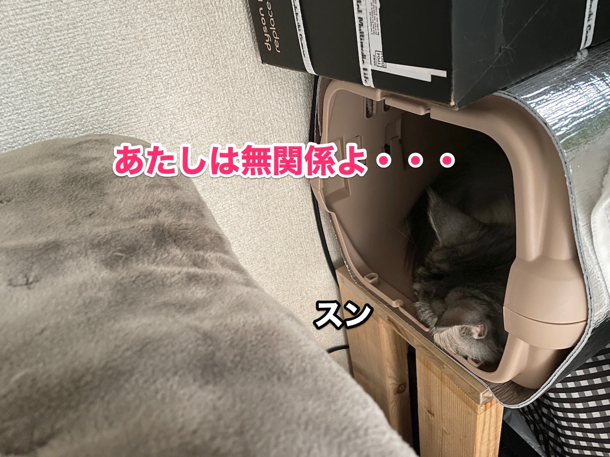 f:id:chikojirou:20201123214951j:plain