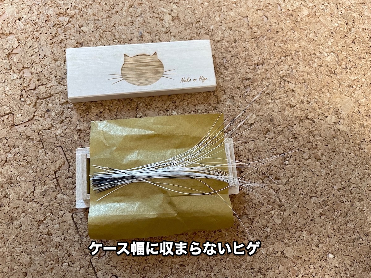 f:id:chikojirou:20201126212810j:plain