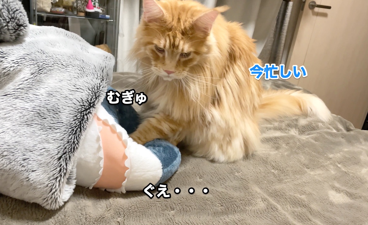 f:id:chikojirou:20201126212813j:plain