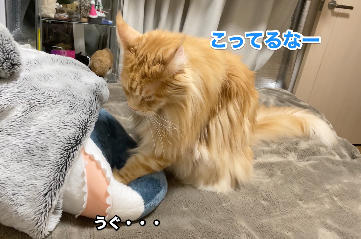 f:id:chikojirou:20201126212817j:plain