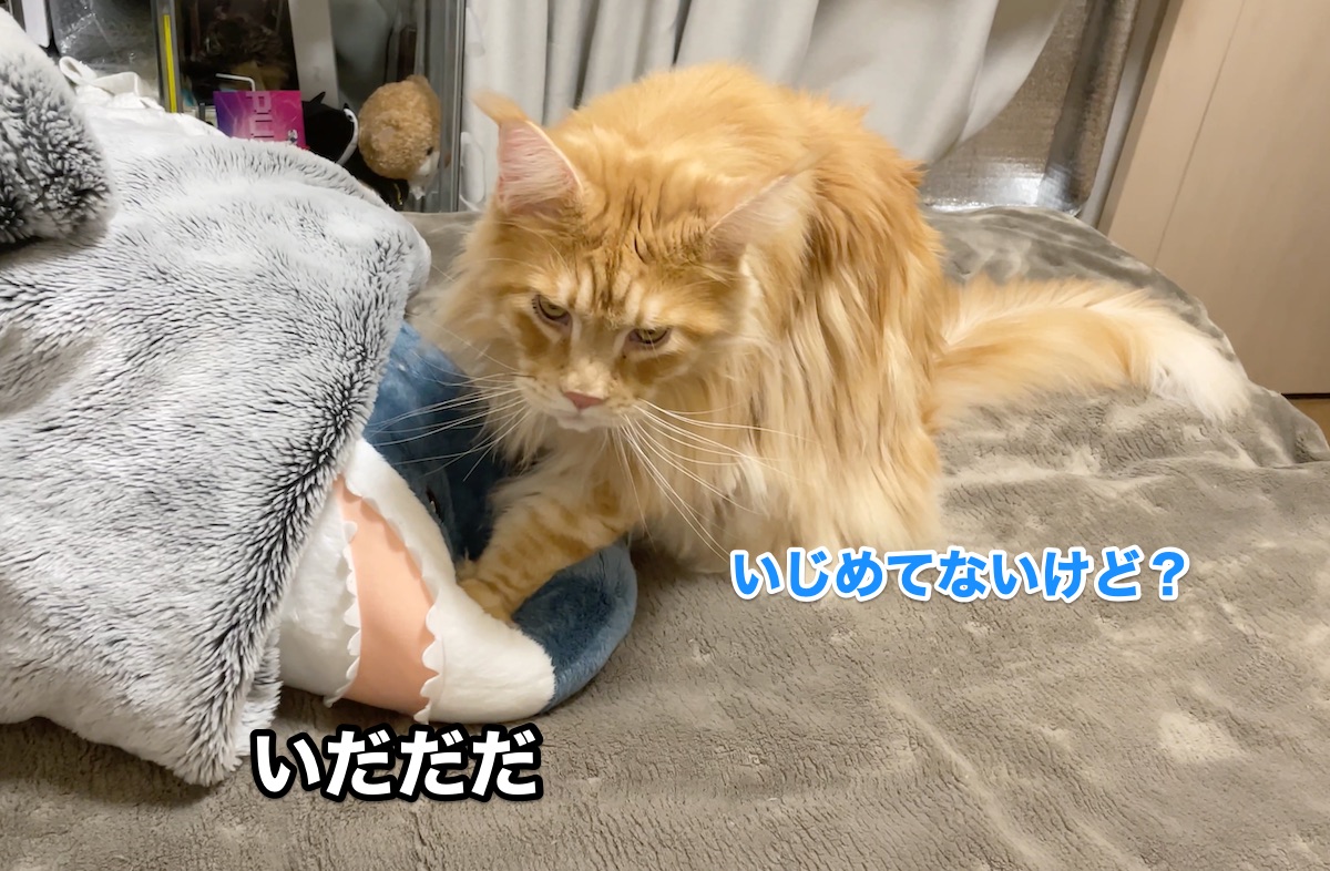 f:id:chikojirou:20201126212820j:plain