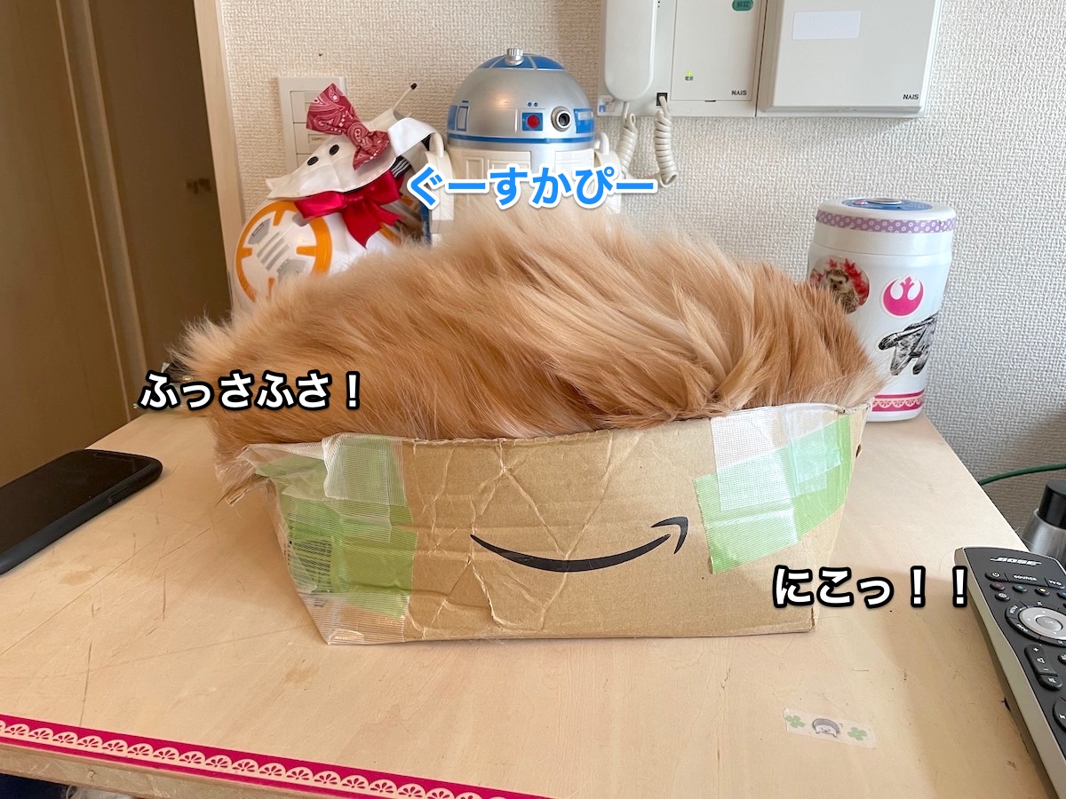 f:id:chikojirou:20201129205531j:plain