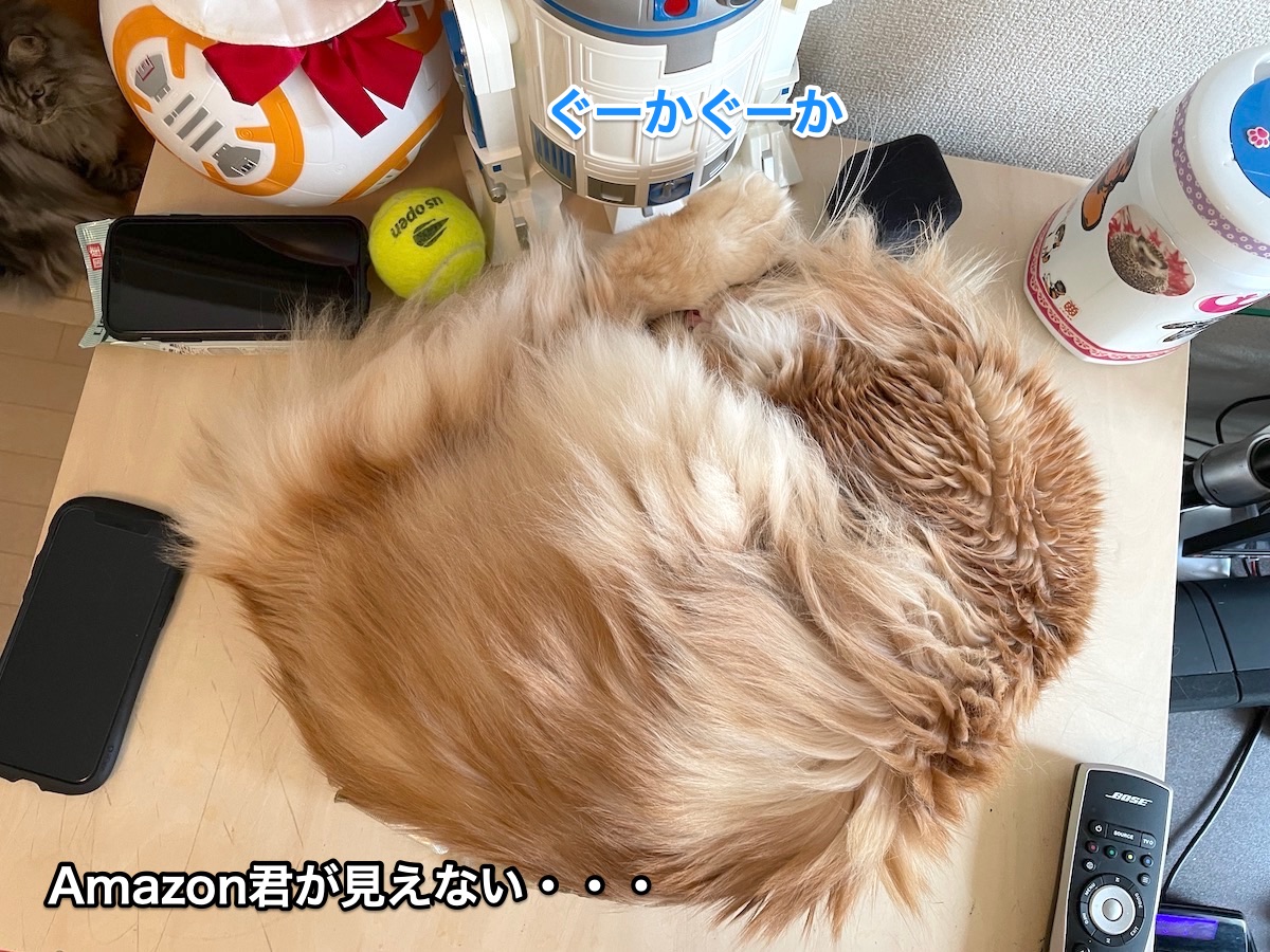 f:id:chikojirou:20201129205534j:plain