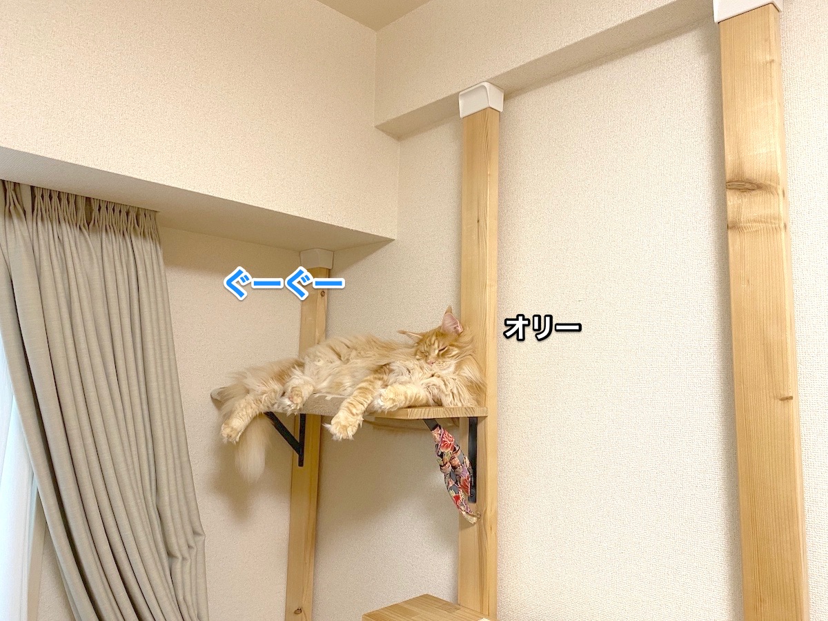 f:id:chikojirou:20201130212235j:plain