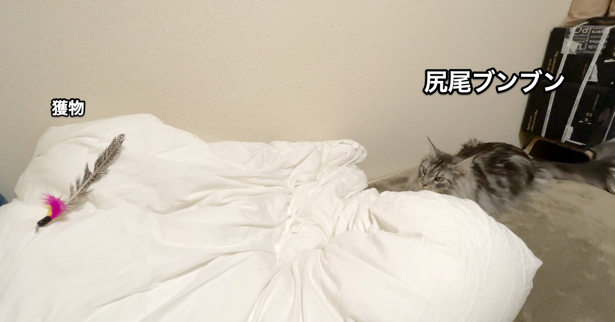 f:id:chikojirou:20201130212250j:plain