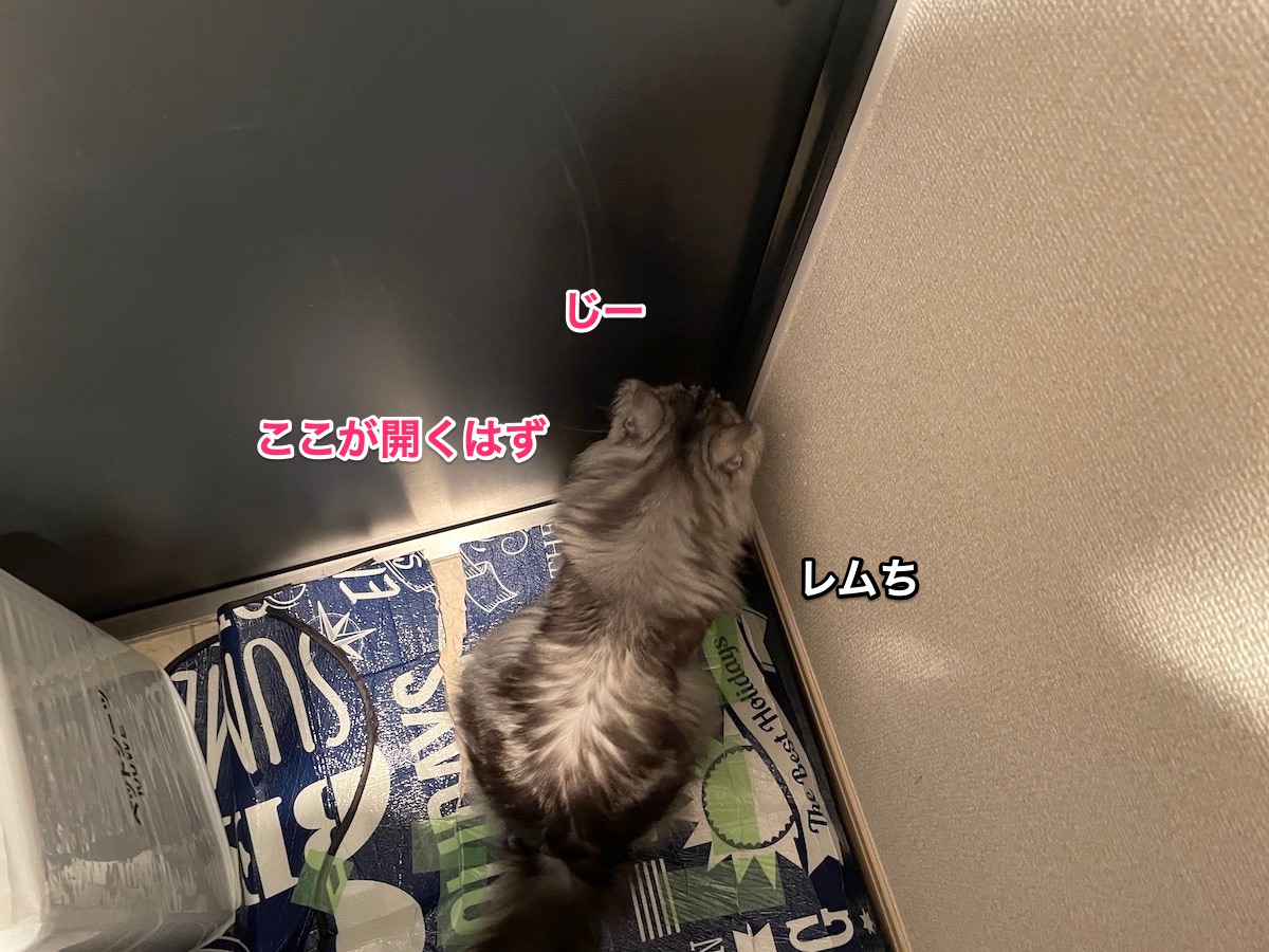 f:id:chikojirou:20201201213548j:plain