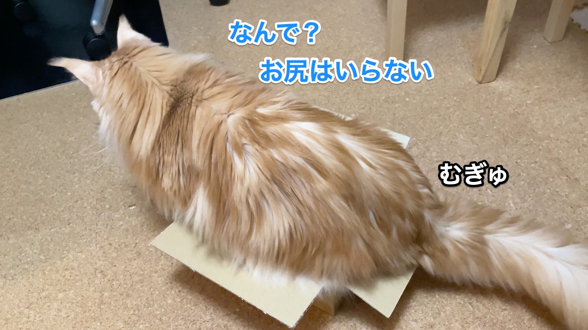 f:id:chikojirou:20201201213604j:plain