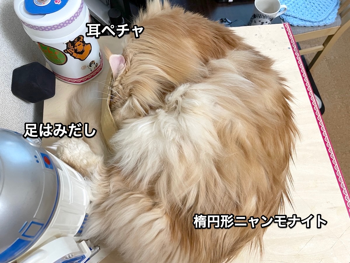 f:id:chikojirou:20201202211528j:plain