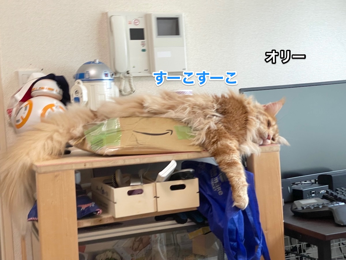 f:id:chikojirou:20201204205120j:plain