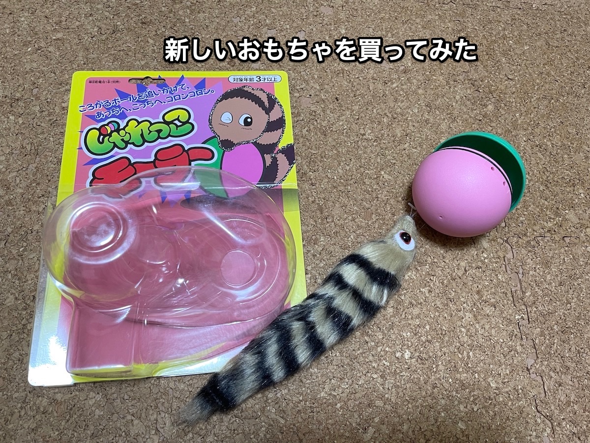 f:id:chikojirou:20201206213624j:plain
