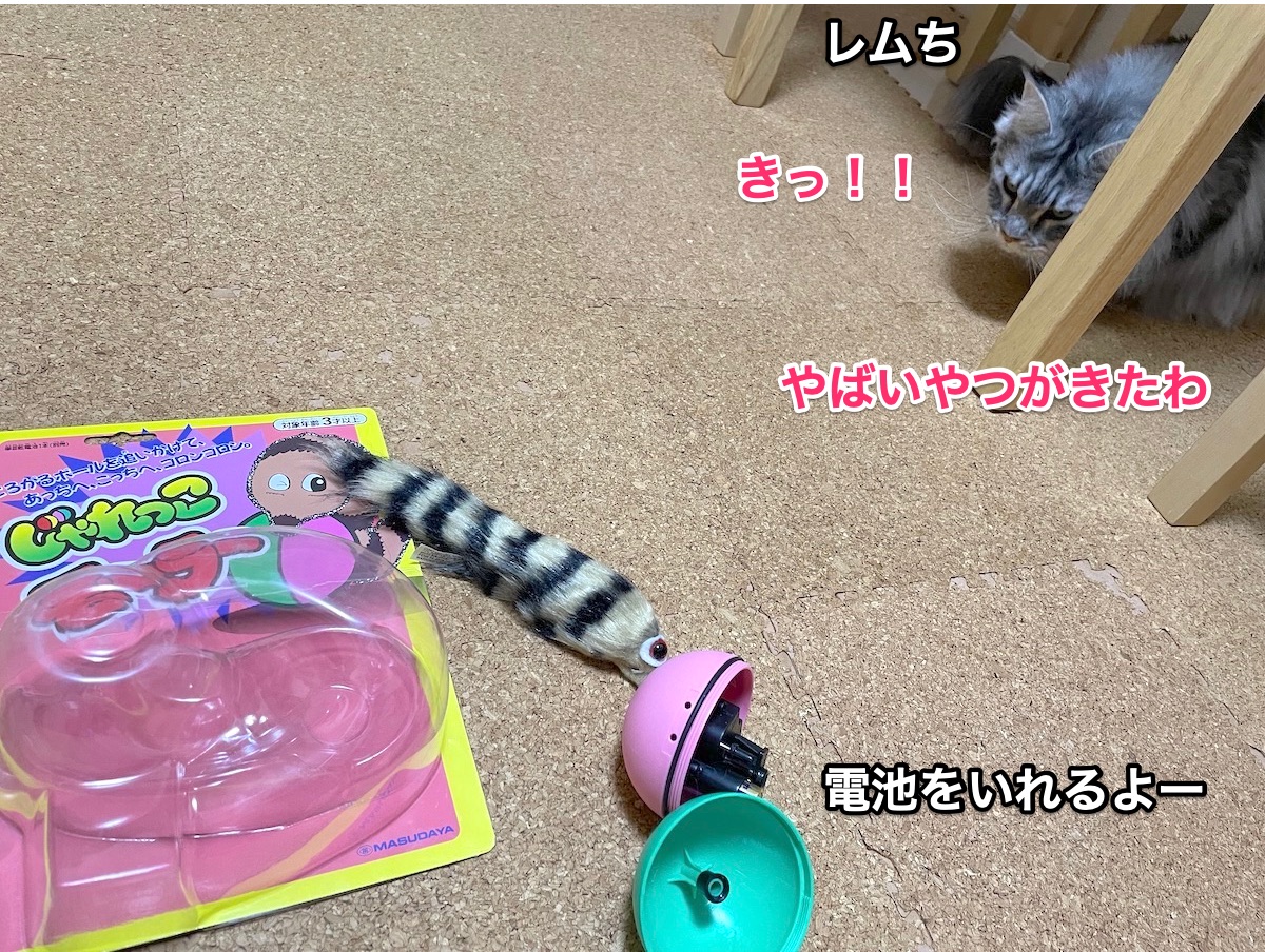 f:id:chikojirou:20201206213629j:plain