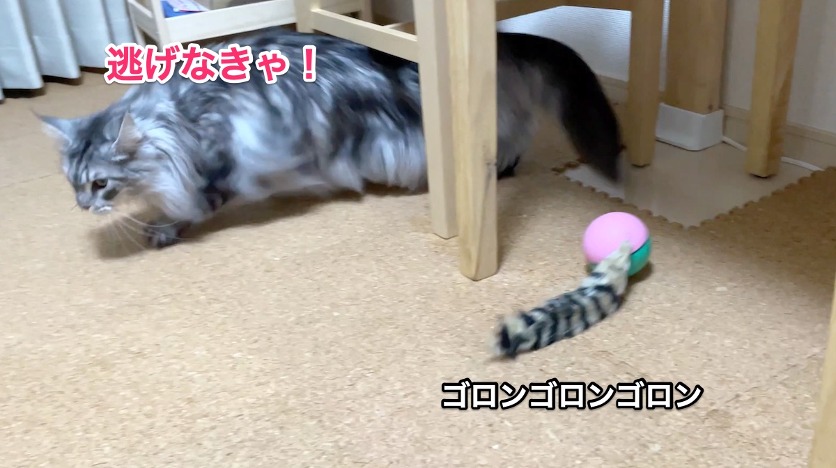f:id:chikojirou:20201206213637j:plain
