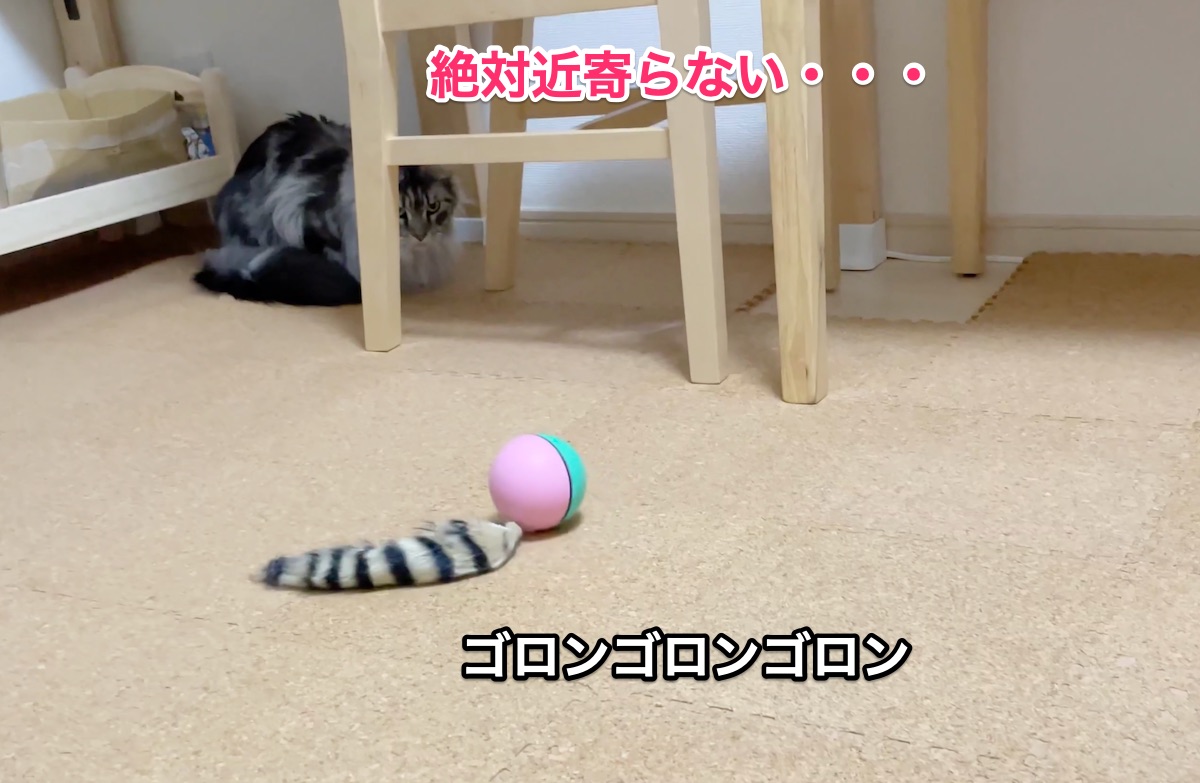 f:id:chikojirou:20201206213641j:plain