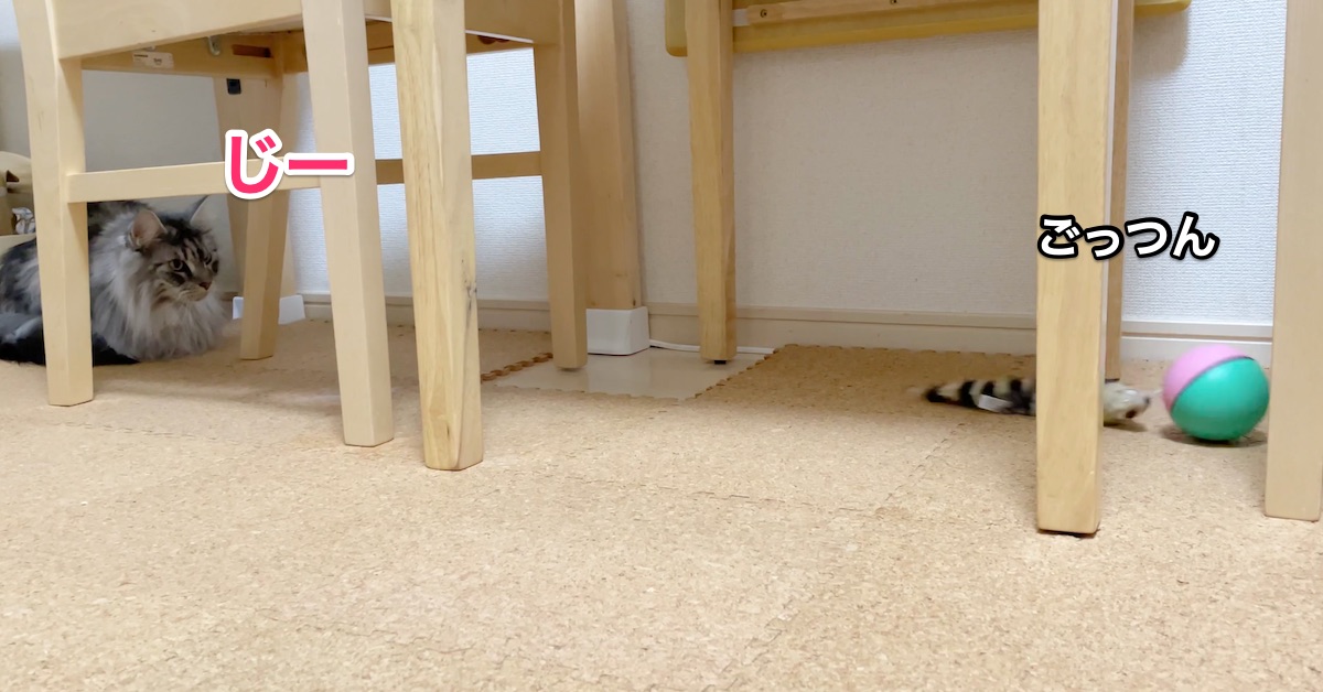 f:id:chikojirou:20201206213645j:plain