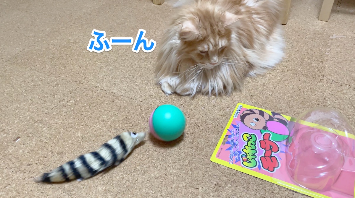 f:id:chikojirou:20201206213650j:plain