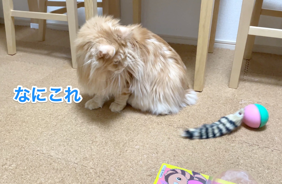 f:id:chikojirou:20201206213655j:plain