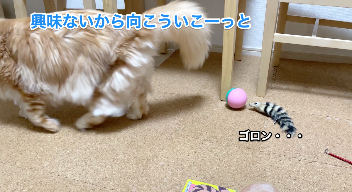 f:id:chikojirou:20201206213659j:plain