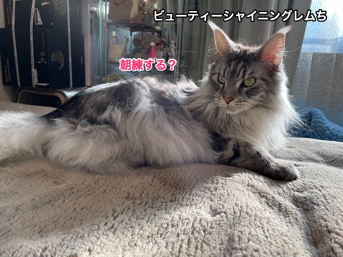 f:id:chikojirou:20201207210313j:plain