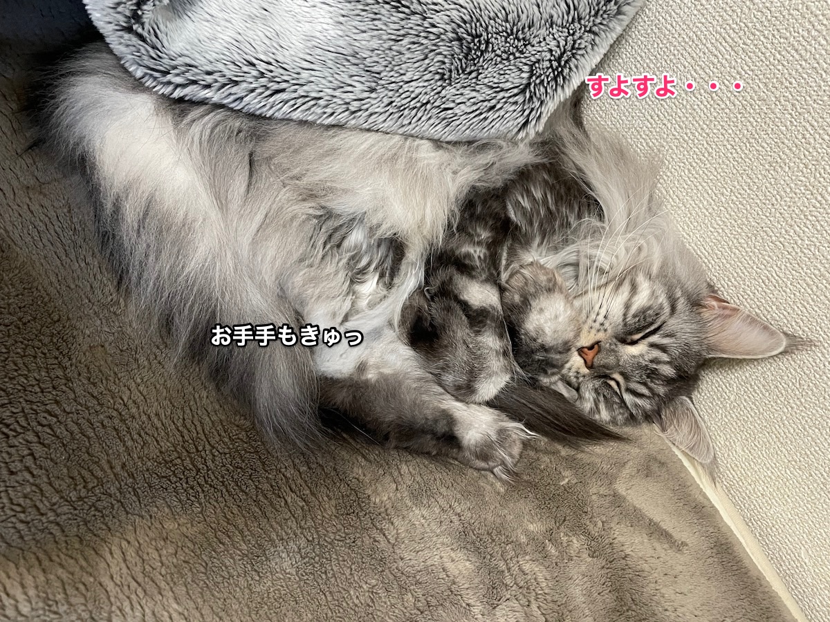 f:id:chikojirou:20201207210323j:plain