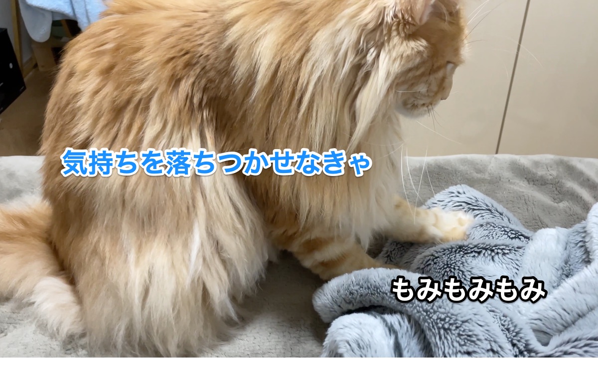 f:id:chikojirou:20201207210339j:plain