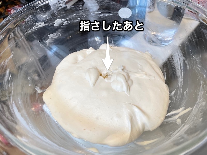 f:id:chikojirou:20201208213109j:plain