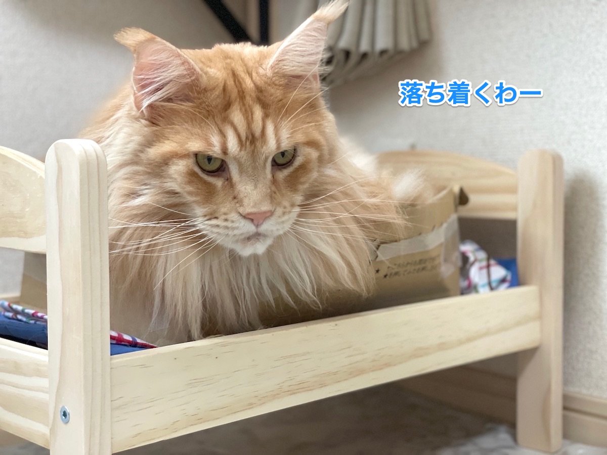 f:id:chikojirou:20201211220048j:plain