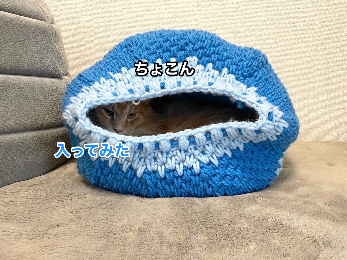 f:id:chikojirou:20201213212122j:plain