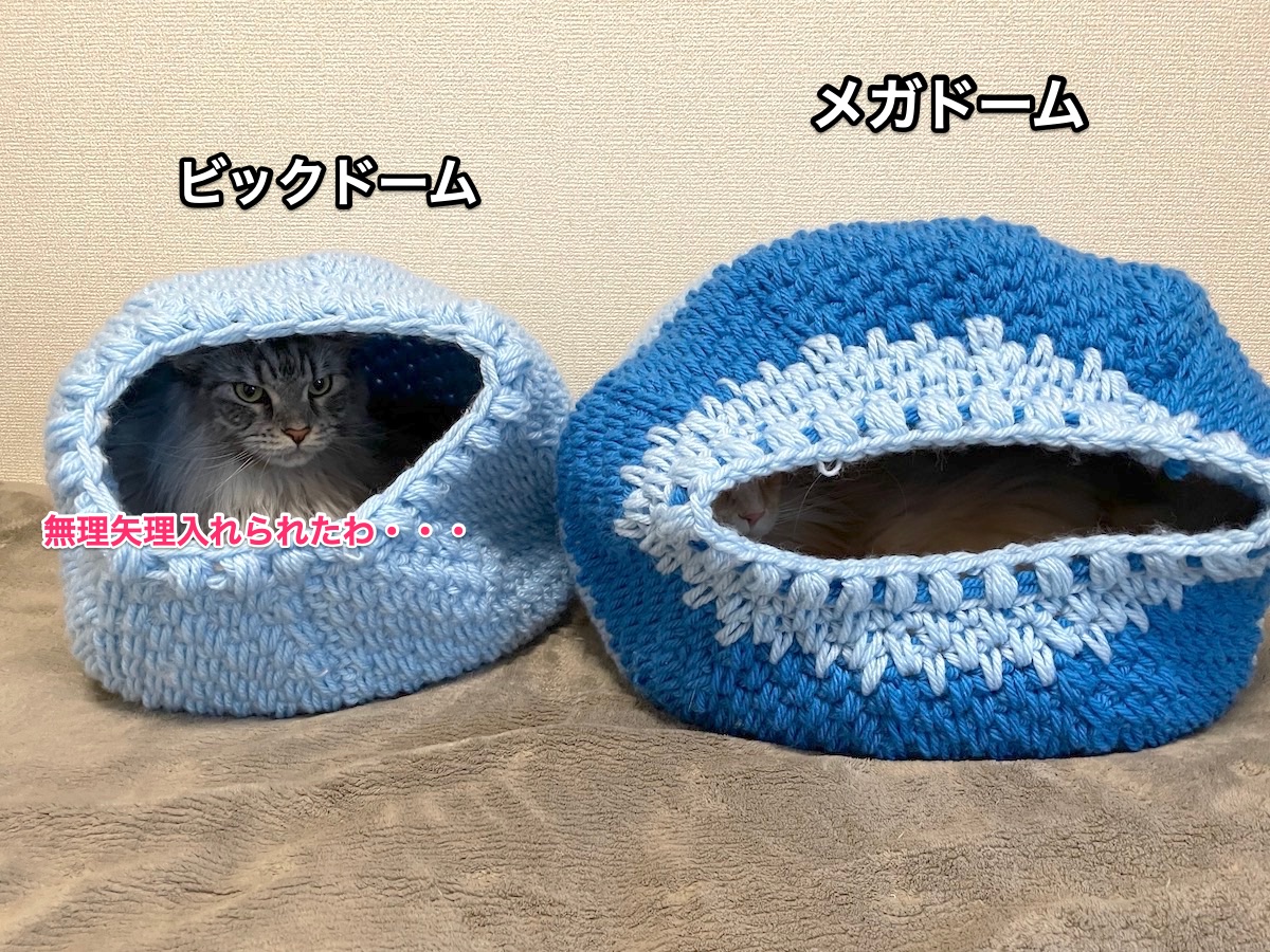 f:id:chikojirou:20201213212132j:plain