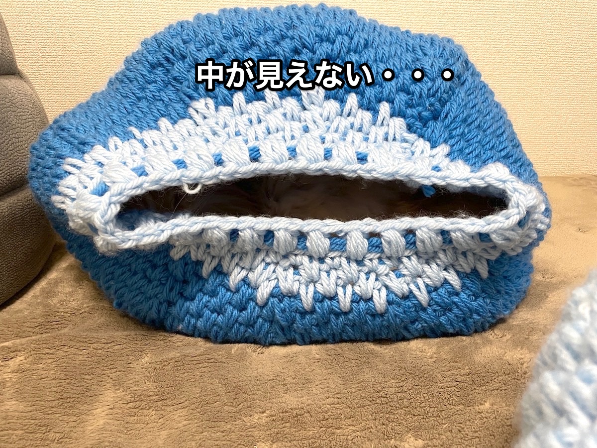f:id:chikojirou:20201213212141j:plain