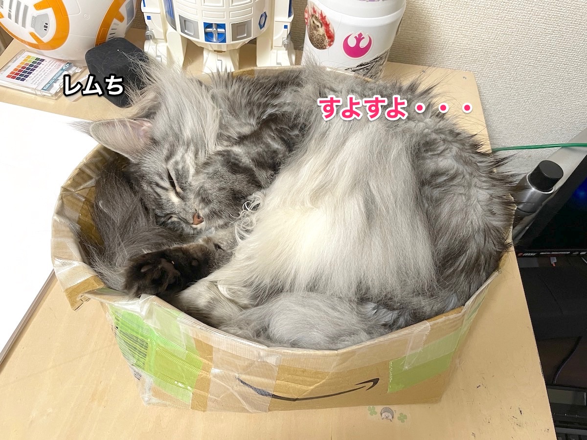f:id:chikojirou:20201216211627j:plain