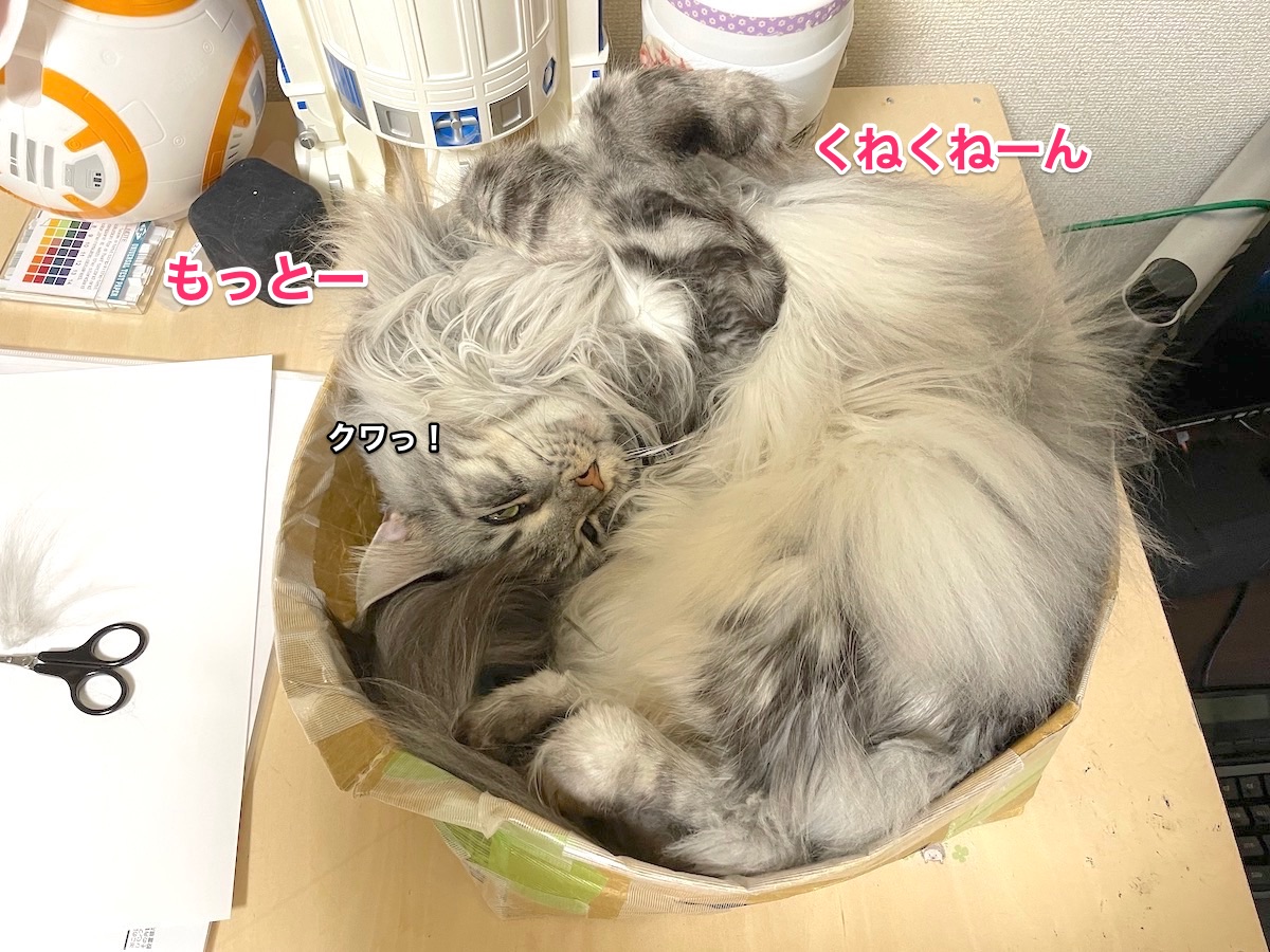 f:id:chikojirou:20201216211635j:plain
