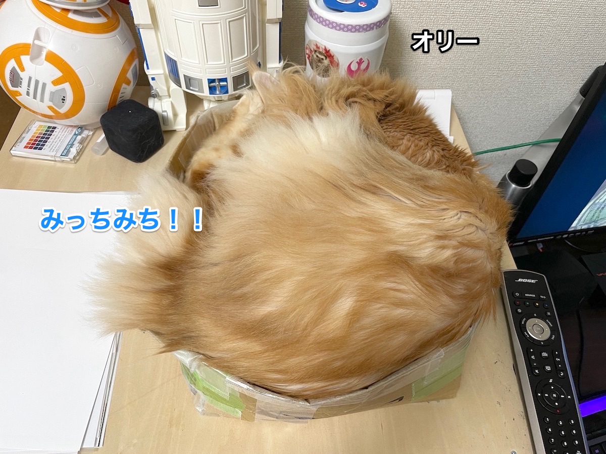 f:id:chikojirou:20201216211640j:plain