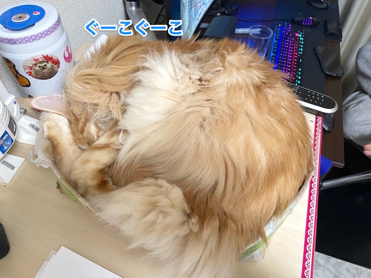 f:id:chikojirou:20201216211643j:plain