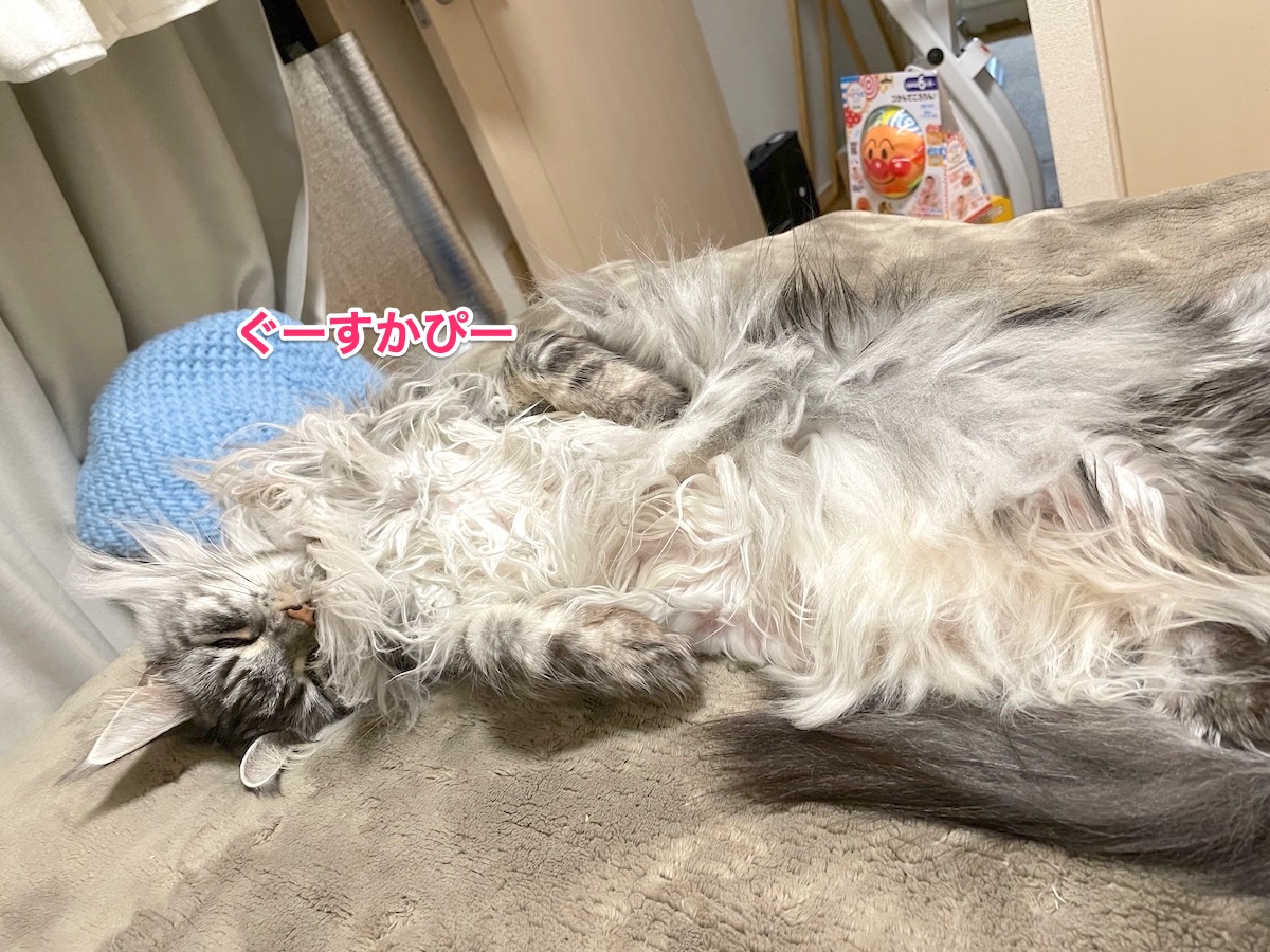 f:id:chikojirou:20201216211650j:plain