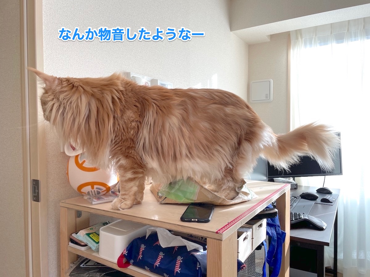f:id:chikojirou:20201218213300j:plain