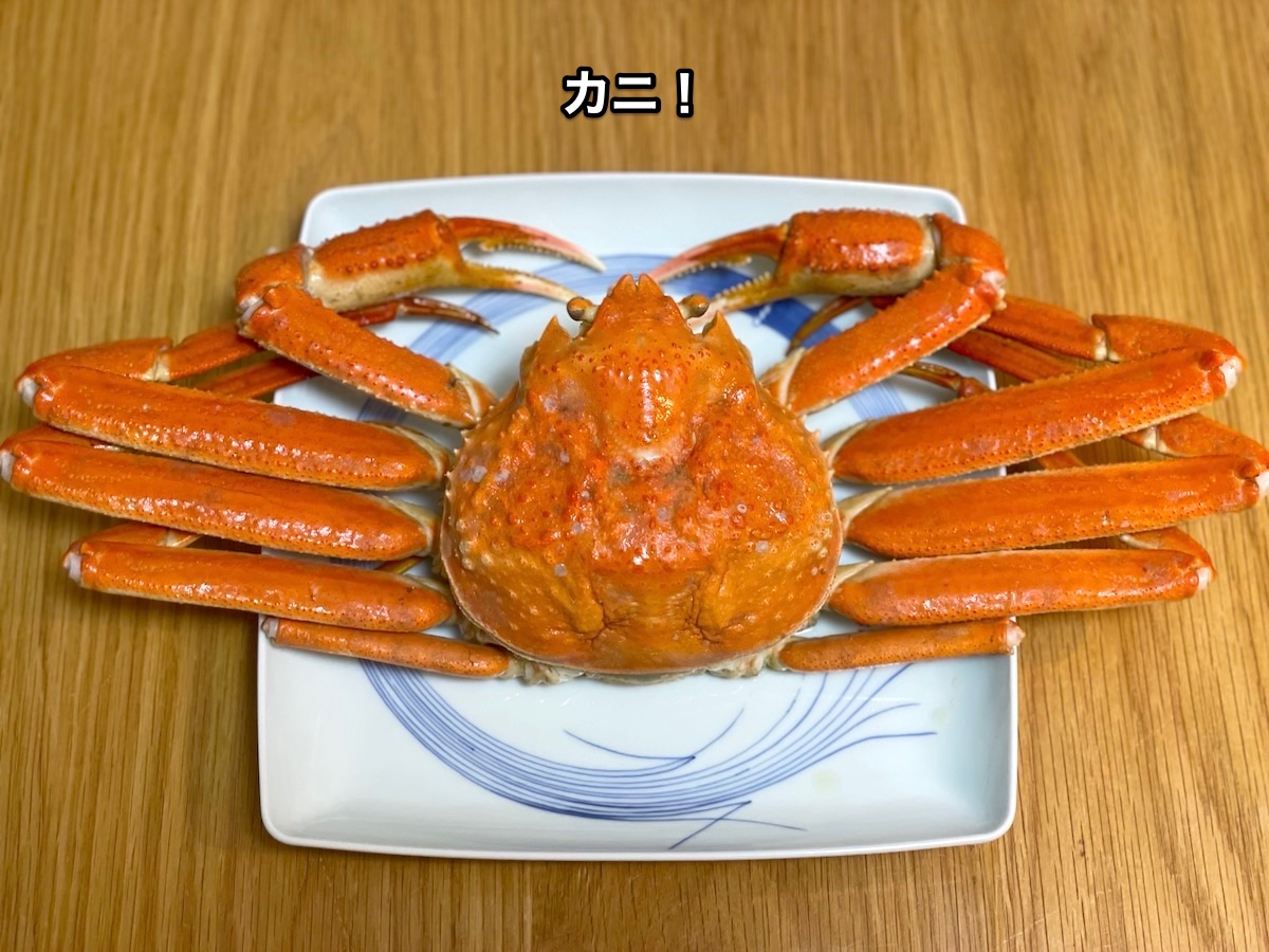 f:id:chikojirou:20201220211919j:plain