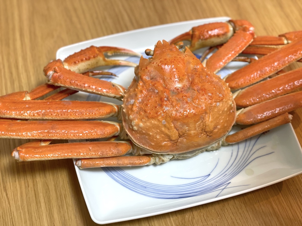 f:id:chikojirou:20201220211923j:plain