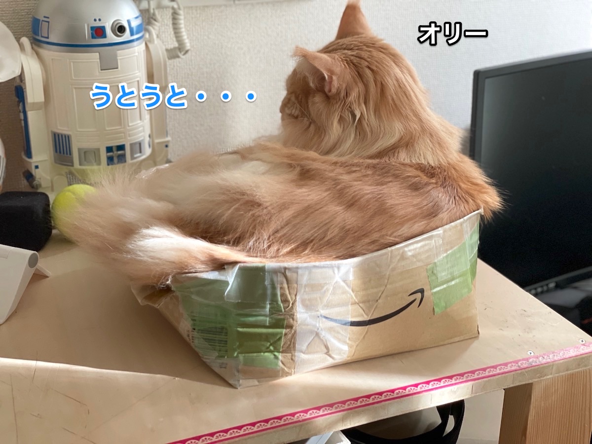 f:id:chikojirou:20201222202102j:plain