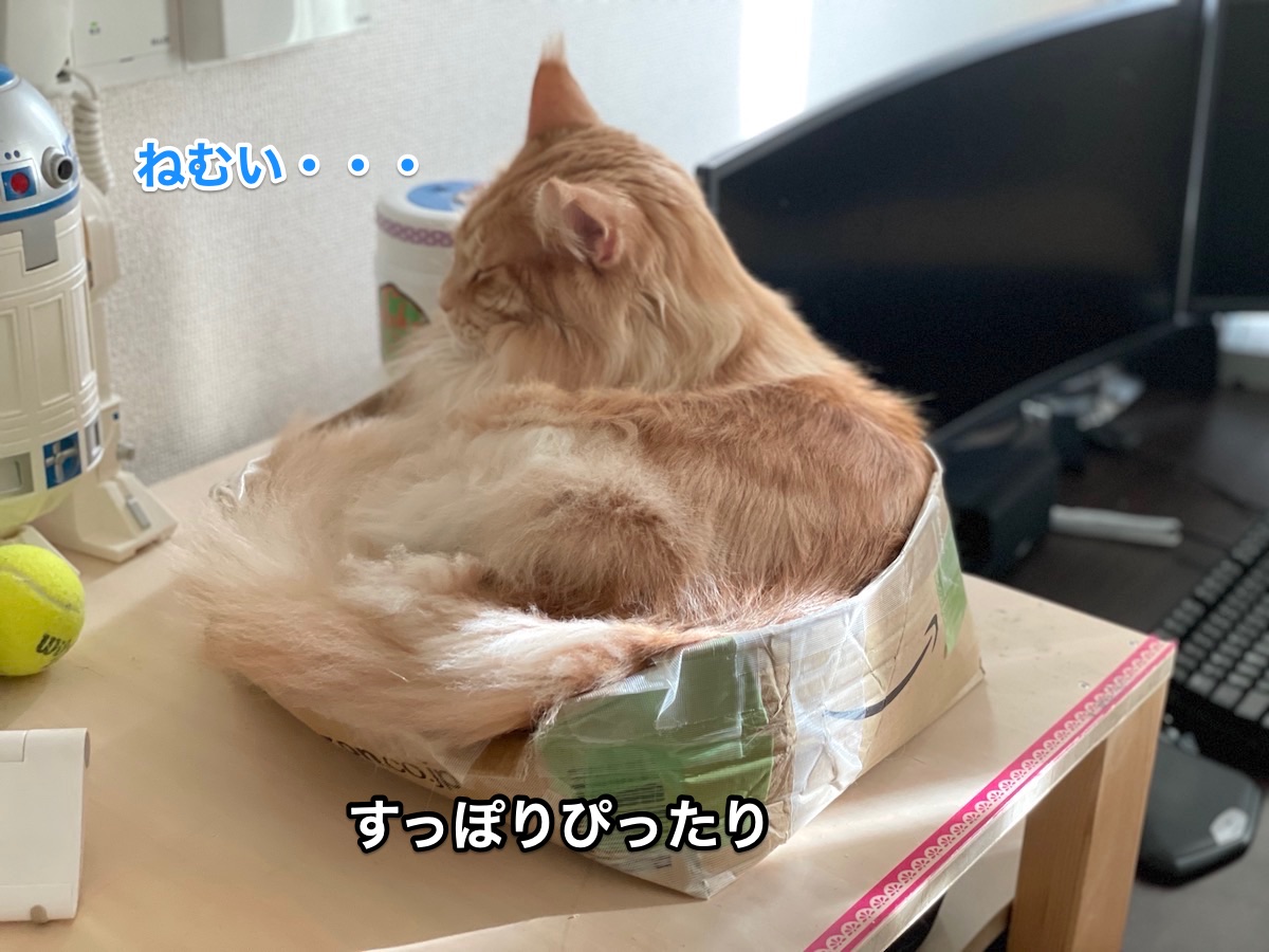 f:id:chikojirou:20201222202105j:plain