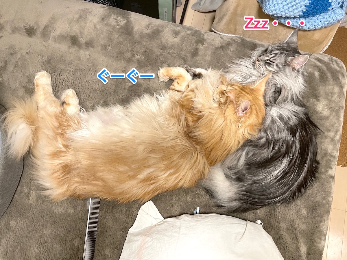 f:id:chikojirou:20201222202117j:plain