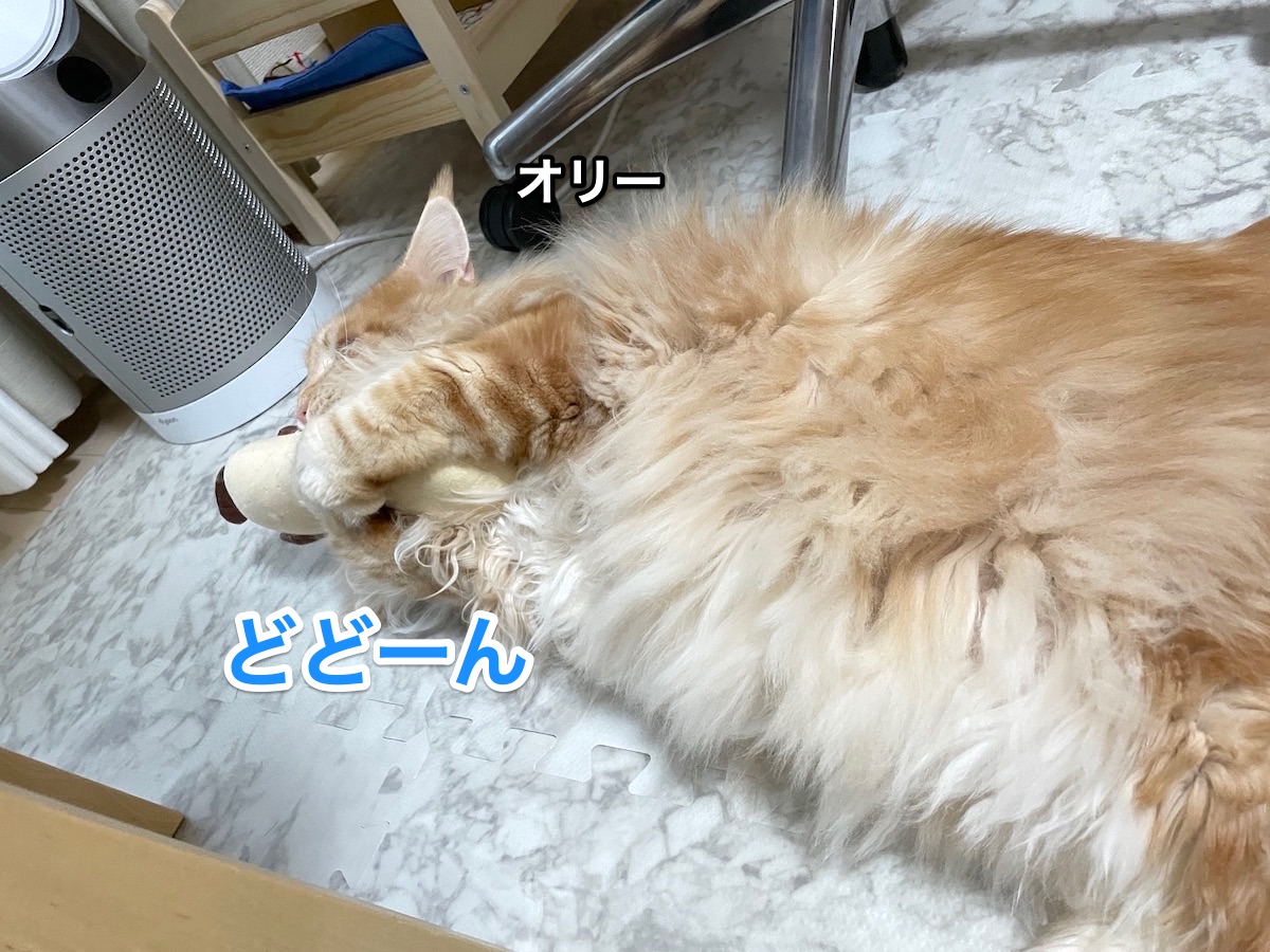 f:id:chikojirou:20201223210312j:plain
