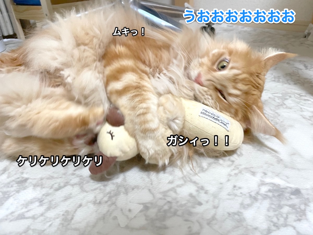 f:id:chikojirou:20201223210319j:plain