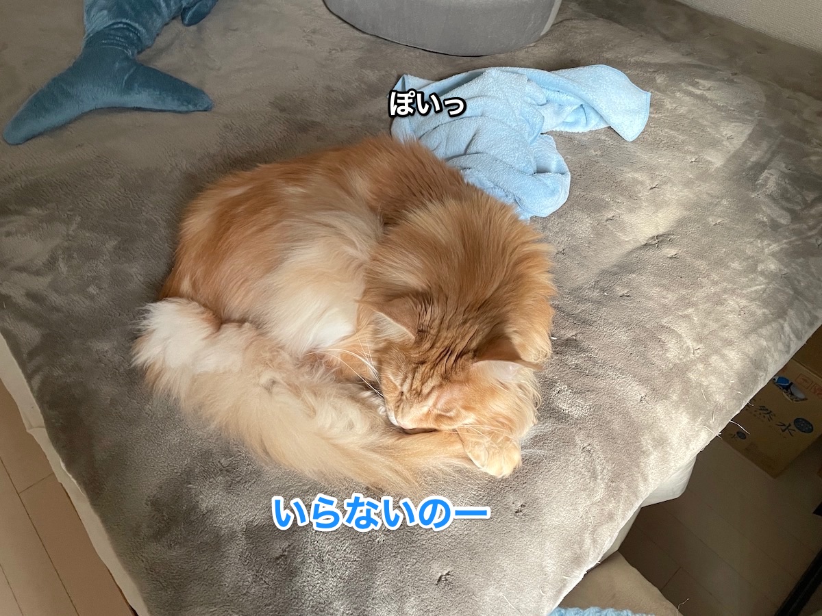 f:id:chikojirou:20201224211258j:plain