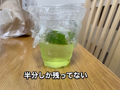 f:id:chikojirou:20201224211302j:plain
