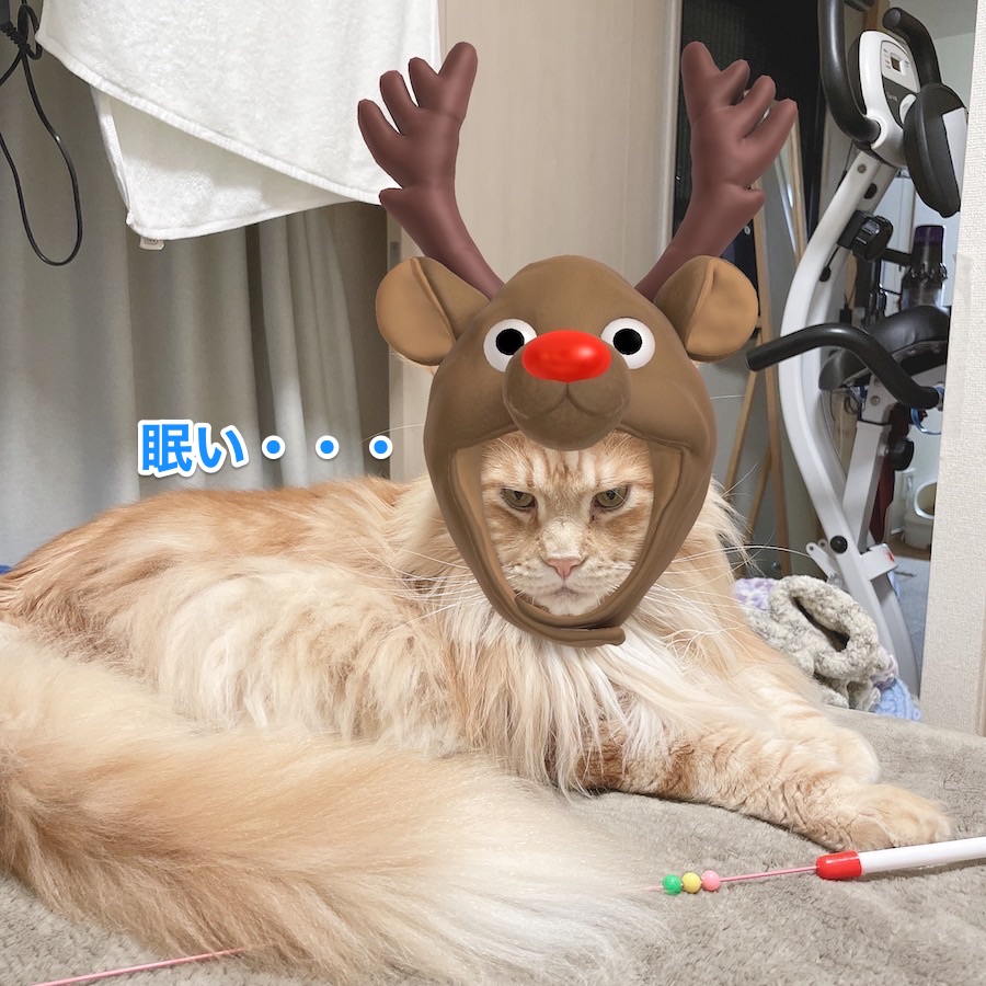 f:id:chikojirou:20201224211308j:plain