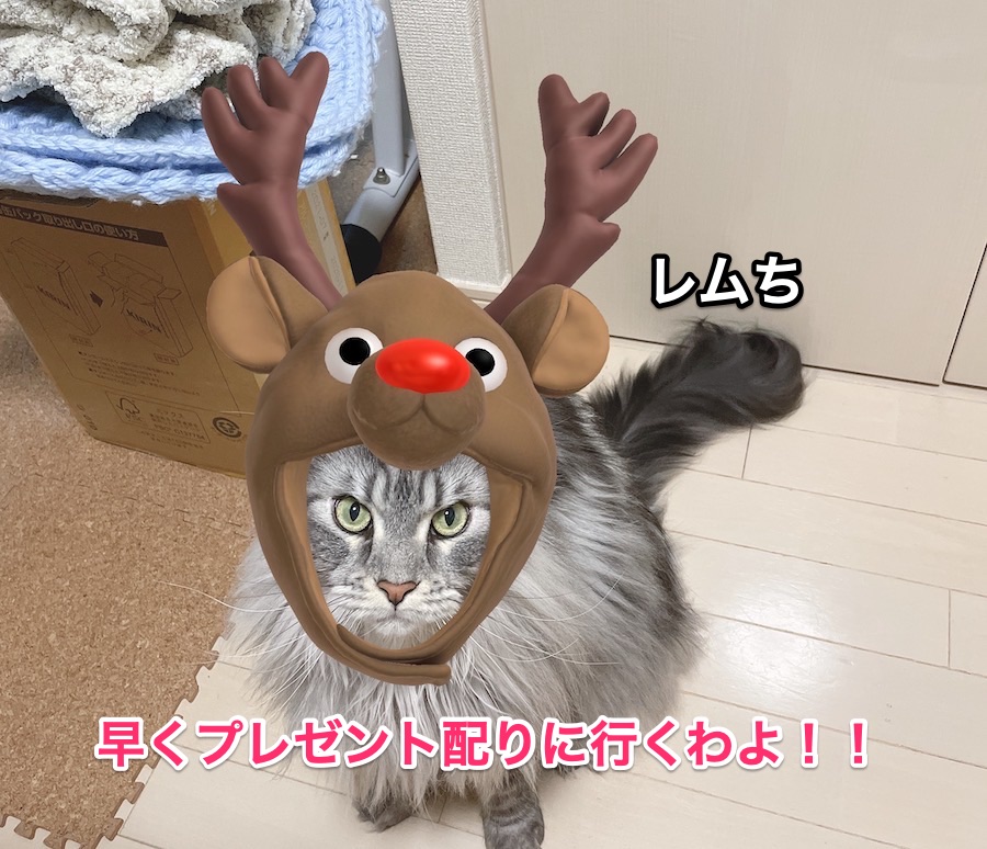 f:id:chikojirou:20201224211312j:plain