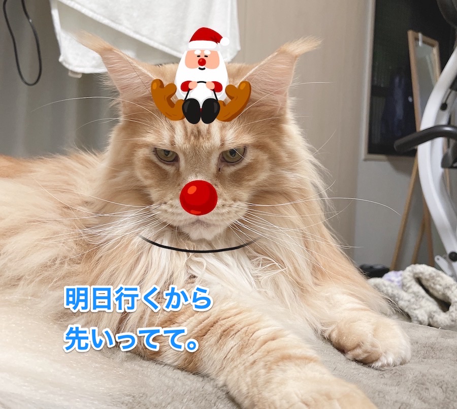 f:id:chikojirou:20201224211315j:plain