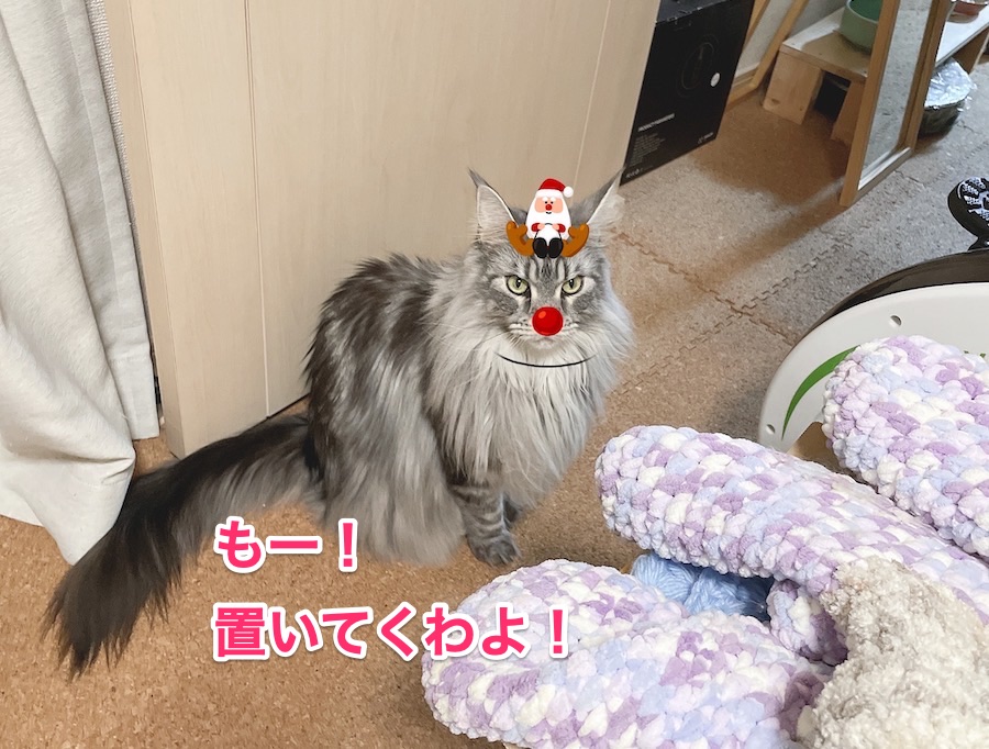 f:id:chikojirou:20201224211318j:plain