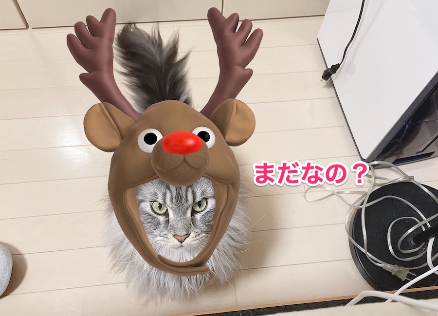 f:id:chikojirou:20201224211321j:plain