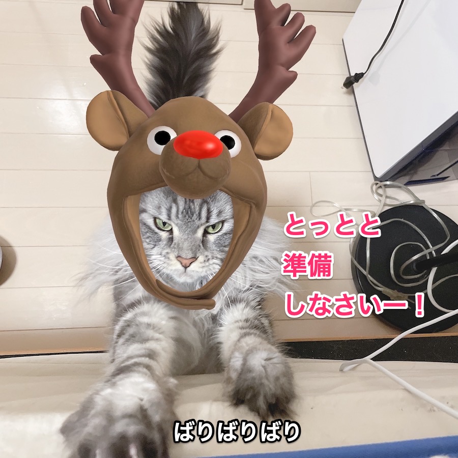 f:id:chikojirou:20201224211328j:plain